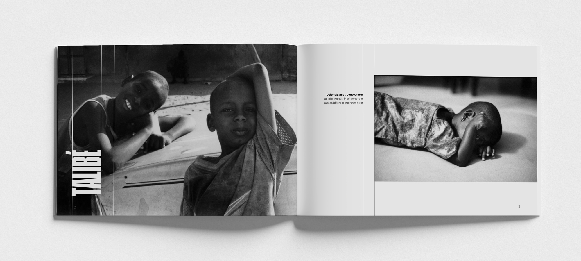 livre-photo-sylvain-marchellier2 Création réalisation d'un livre en photo d'arts - édition - photopoésie