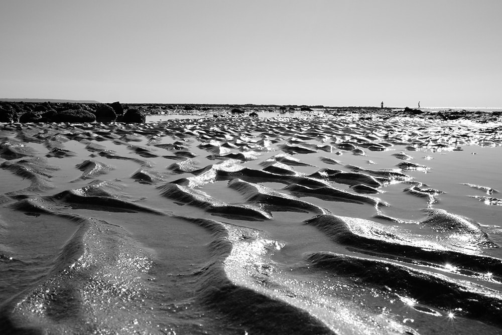 Photo de sylvain marchellier